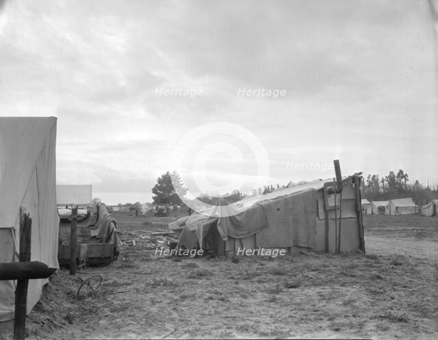 Camps of migrant pea workers, California, 1936. Creator: Dorothea Lange.