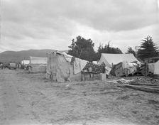 Camps of migrant pea workers, California, 1936. Creator: Dorothea Lange