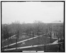 Campus, U. of M., Ann Arbor, Mich., between 1900 and 1915. Creator: Unknown