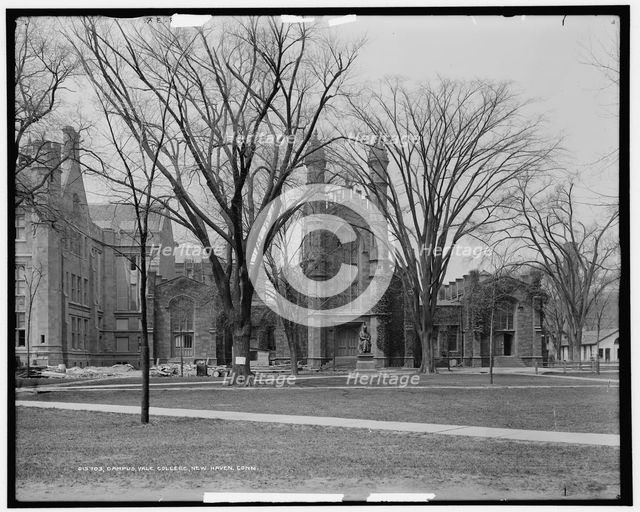 Campus, Yale College, New Haven, Conn., between 1900 and 1915. Creator: Unknown.