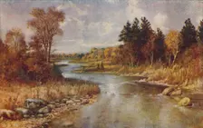 Canadian Forest Scene 1924