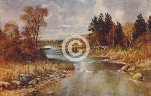 'Canadian Forest Scene', 1924. Artist: Unknown.