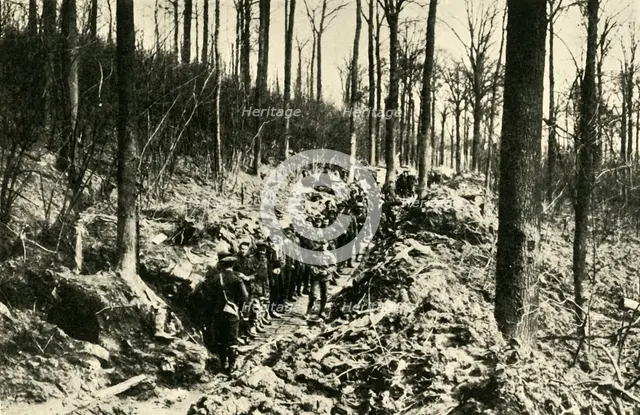 'Canadian Infantry in a Wood at the Front', First World War, 1915-1916, (c1920). Creator: Unknown.