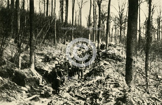 'Canadian Infantry in a Wood at the Front', First World War, 1915-1916, (c1920). Creator: Unknown.