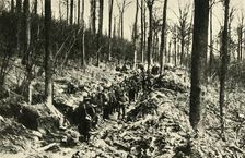 Canadian Infantry in a Wood at the Front First World War, 1915-1916, (c1920). Creator: Unknown