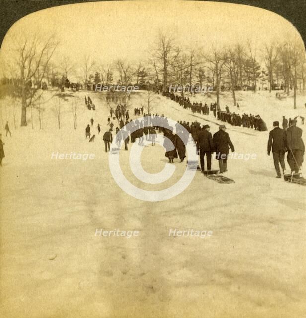 'Canadian winter sports - tobogganing', 1905. Creator: Underwood & Underwood.