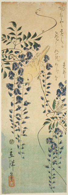 Canary and wisteria, 1865. Creator: Utagawa Hiroshige II