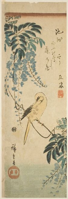 Canary and wisteria, c. 1843/47. Creator: Ando Hiroshige