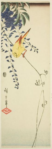 Canary and wisteria, c. 1843/47. Creator: Ando Hiroshige