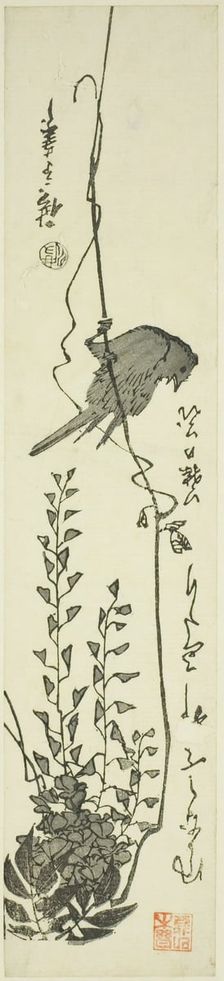 Canary and wisteria, mid-1840s. Creator: Ando Hiroshige