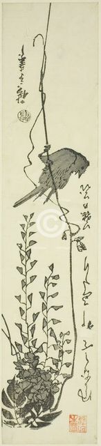 Canary and wisteria, mid-1840s. Creator: Ando Hiroshige.