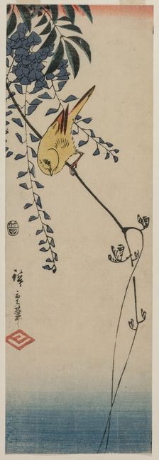 Canary and Wisteria, mid-1840s. Creator: Ando Hiroshige (Japanese, 1797-1858)