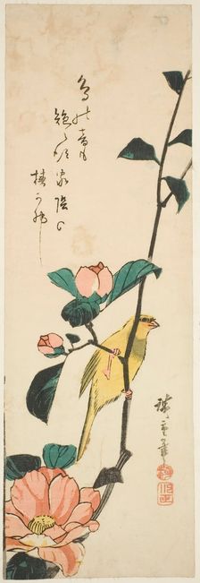 Canary and camellias, 1840s. Creator: Ando Hiroshige