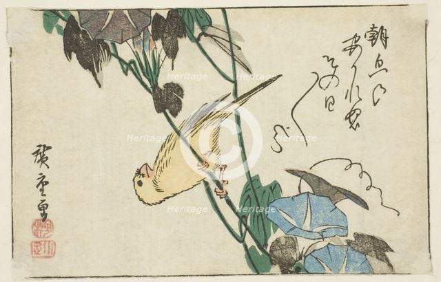 Canary and morning glories, n.d. Creator: Ando Hiroshige.