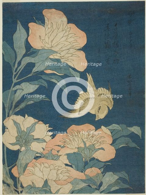 Canary and Peony (Kanaari, shakuyaku), from an untitled series of flowers and birds, Japan, c. 1834. Creator: Hokusai.