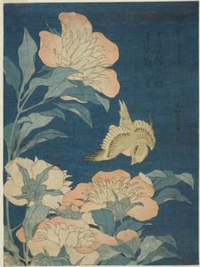 Canary and Peony (Kanaari, shakuyaku), from an untitled series of flowers and birds, Japan, c. 1834. Creator: Hokusai