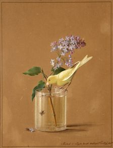 Canary Bird on a Lilac Branchlet, 1819. Artist: Tolstoy, Fyodor Petrovich (1783-1873)
