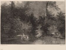 Canards, 1861/1866. Creator: Karl Bodmer