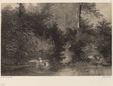 Canards. Creator: Karl Bodmer