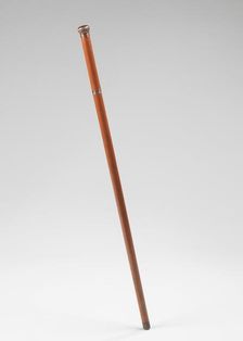 Cane, American, 1885. Creator: Unknown