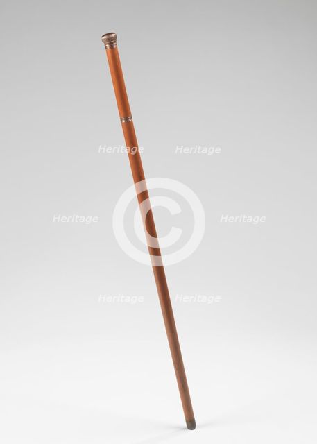 Cane, American, 1885. Creator: Unknown.