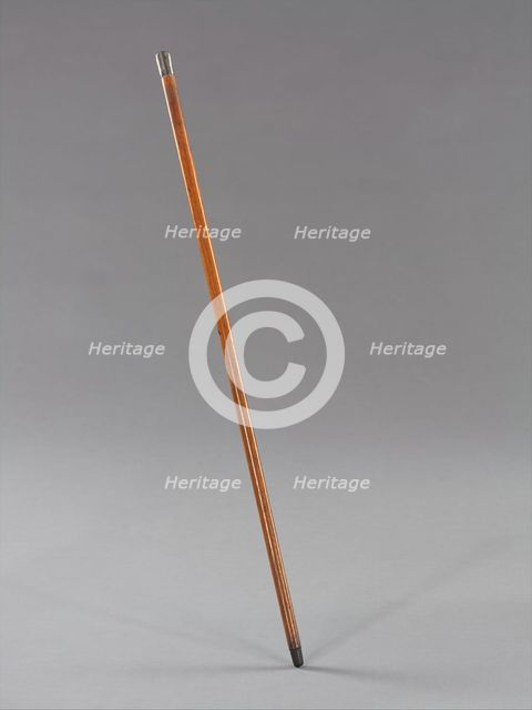 Cane, American, ca. 1883. Creator: Unknown.