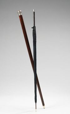 Cane, American or European, 1880-89. Creator: Unknown
