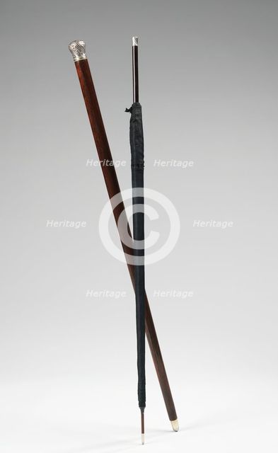 Cane, American or European, 1880-89. Creator: Unknown.
