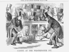 Canine at the Westminster Pit 1862. Creator: Unknown