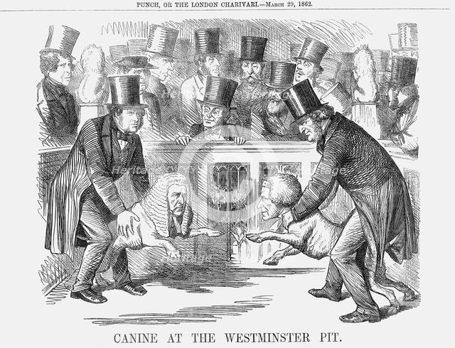'Canine at the Westminster Pit', 1862. Creator: Unknown.