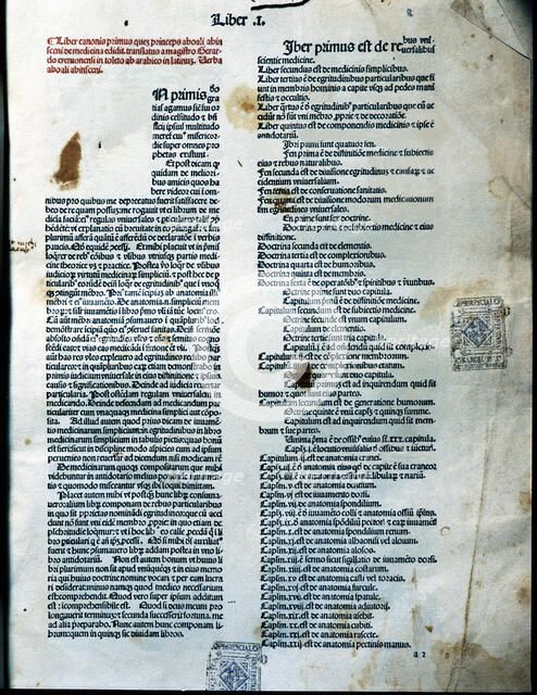 Canon of Medicine, page of Book I of the Latin edition 1490, work by Avicenna.