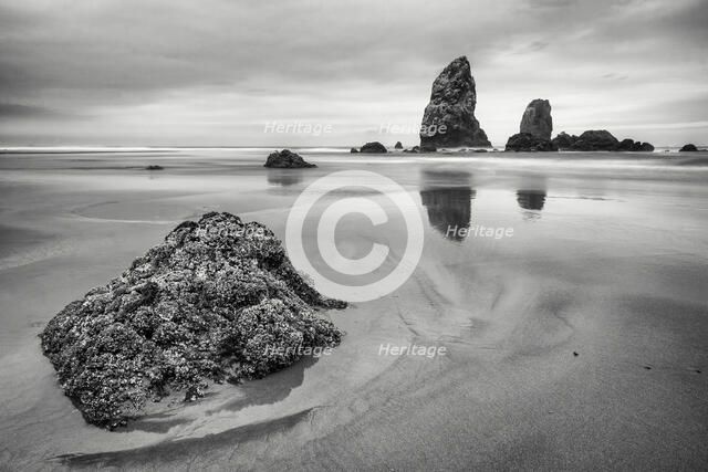 Cannon Beach. Creator: Joshua Johnston.