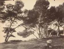 Cannes, Ile Saint Honorat, c1899-1927. Creator: Eugene Atget