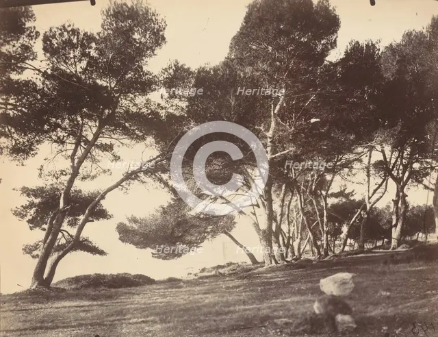 Cannes, Ile Saint Honorat, c1899-1927. Creator: Eugene Atget.