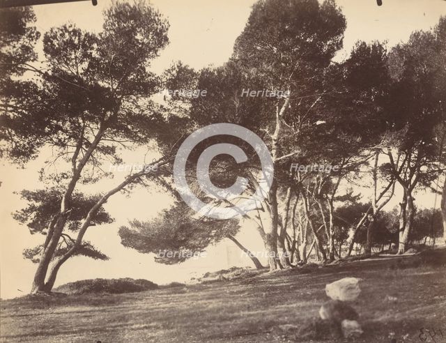 Cannes, Ile Saint Honorat, c1899-1927. Creator: Eugene Atget.