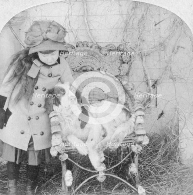 'Can't you talk, Jack?', 1882. Artist: BW Kilburn