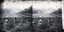 Canton, Kwangtung province, China, 1981 (from negative of c1870). Creator: John Thomson