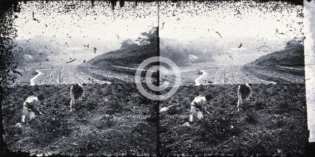 Canton, Kwangtung province, China, 1981 (from negative of c1870). Creator: John Thomson.