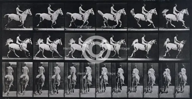 Canter, 1872-1885.  Creator: Eadweard J Muybridge.