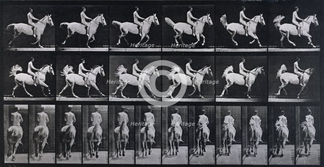 Canter, 1872-1885.  Creator: Eadweard J Muybridge.