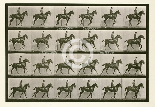 Canter, 1872-1885.  Creator: Eadweard J Muybridge.