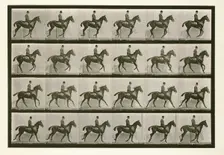 Canter, 1872-1885. Creator: Eadweard J Muybridge