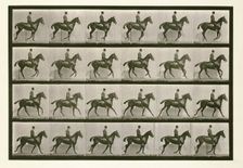 Canter, 1872-1885. Creator: Eadweard J Muybridge