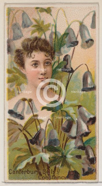Canterbury Bells: Constancy, from the series Floral Beauties and Language of Flowers (N75)..., 1892. Creator: Donaldson Brothers.