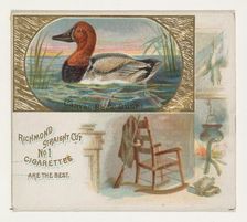 Canvas-Back Duck, from the Game Birds series (N40) for Allen & Ginter Cigarettes, 1888-90. Creator: Allen & Ginter