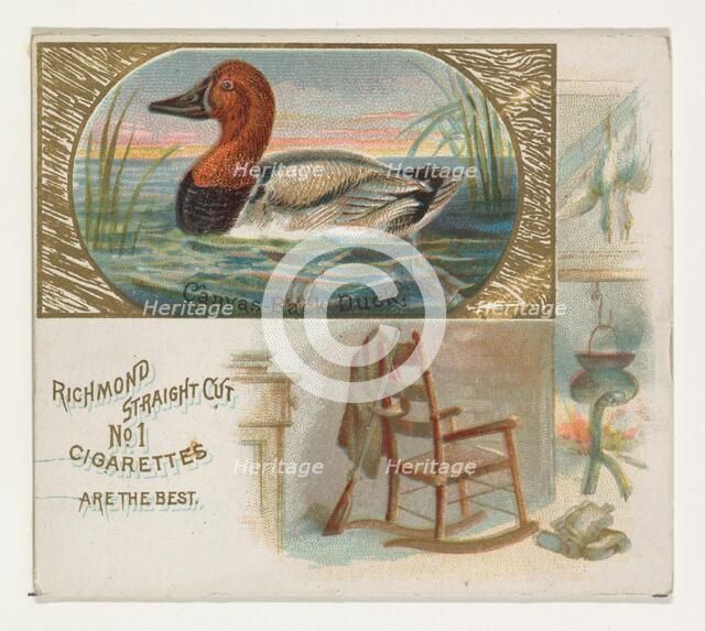 Canvas-Back Duck, from the Game Birds series (N40) for Allen & Ginter Cigarettes, 1888-90. Creator: Allen & Ginter.