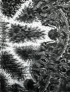 Cape, England, 1860s. Creator: Unknown