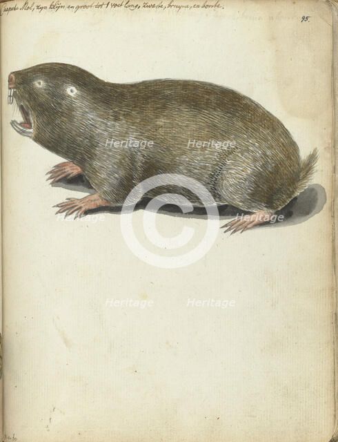 Cape Mole, 1786-1787. Creator: Jan Brandes.