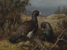 Capercaillie Cocks, 1876. Creator: Ferdinand von Wright
