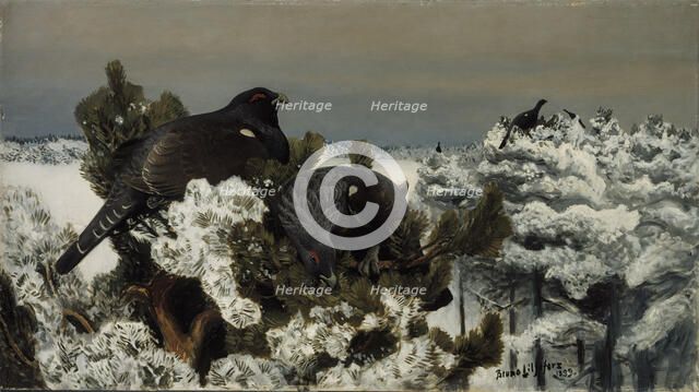Capercaillies in a Winter Landscape, 1899. Creator: Bruno Liljefors.